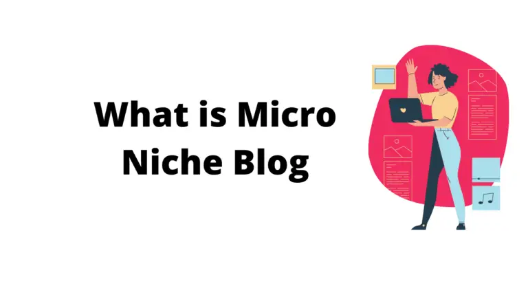 What is Micro Niche Blog